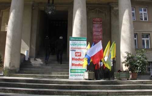 owiur bolesławowo