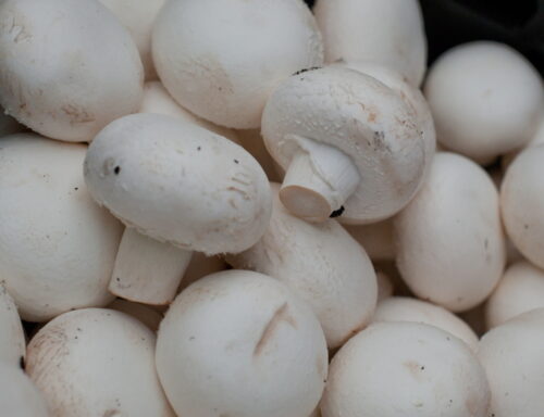 pieczarki_pap