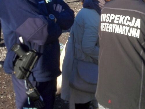 pobicie Pracownika Inspekcji Weterynaryjnej, Sławkowo, powiat  mławski, kontrola gospodarstw