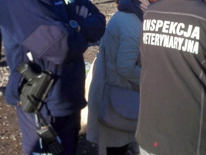 pobicie Pracownika Inspekcji Weterynaryjnej, Sławkowo, powiat  mławski, kontrola gospodarstw