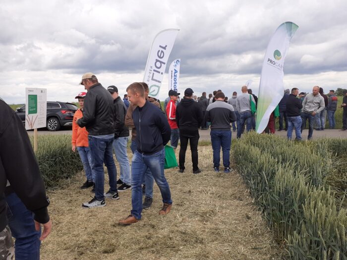 Dzień Pola PROCAM, Łężyce, powiat opatowski, Przemysław Konaszczuk, Lidia Mierzyńska