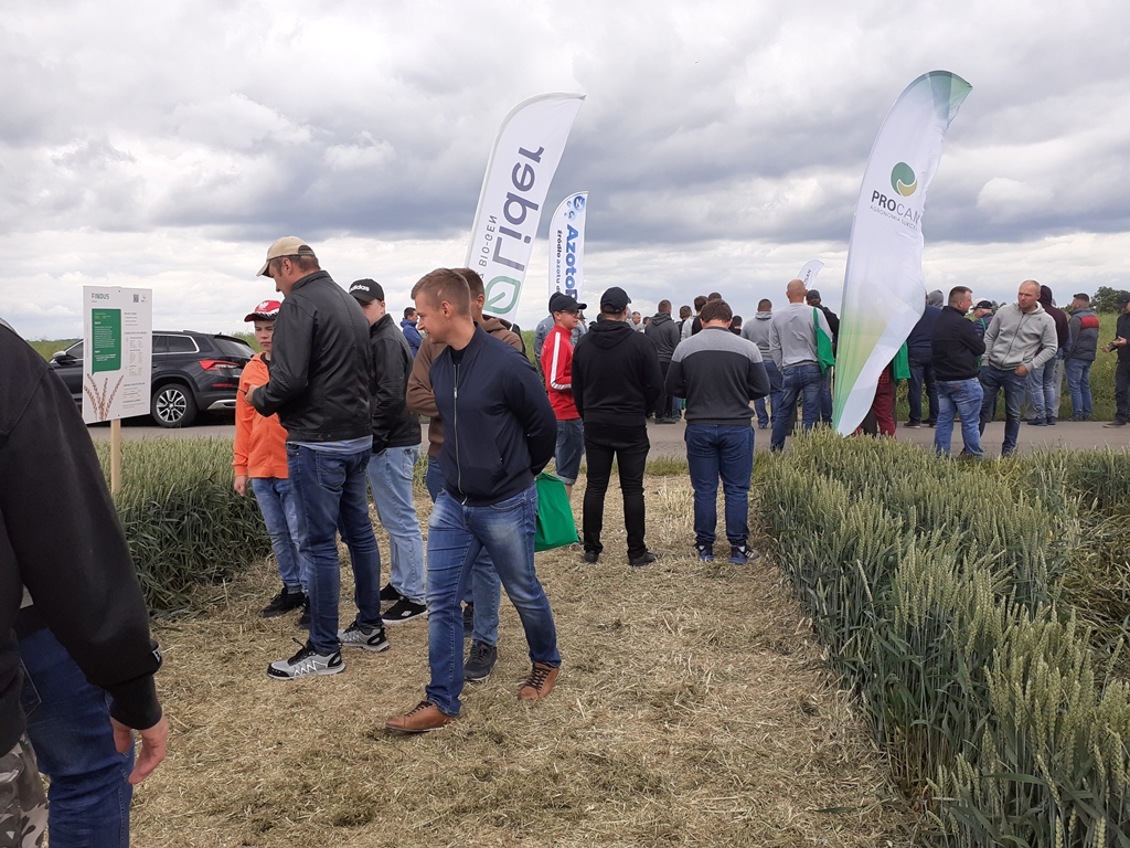 Dzień Pola PROCAM, Łężyce, powiat opatowski, Przemysław Konaszczuk, Lidia Mierzyńska