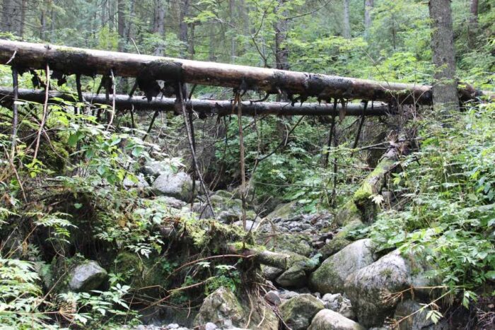 edukacja ekologiczna, parki narodowe, pieniądze, Narodowy Fundusz Ochrony Środowiska i Gospodarki Wodnej