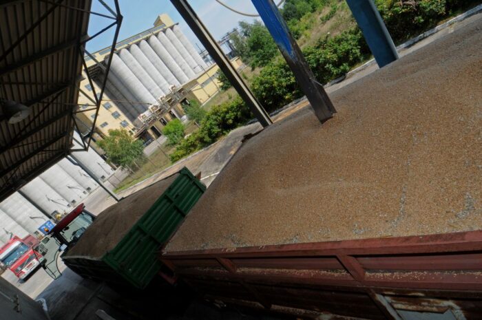 UkrAgroConsult, ministerstwo rolnictwa w kijowie, eksport zbóż