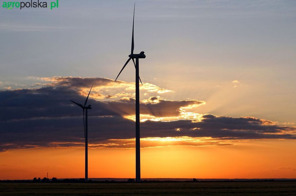 Robert Macias zapewnia, że w tym roku RWE zainwestuje w Polsce 70 mln euro