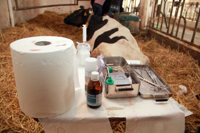 mleko_antybiotyki_testy