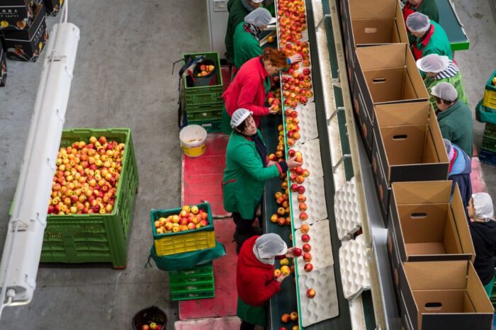 W styczniu i lutym wysłaliśmy do krajów trzecich o 36 proc. jabłek mniej niż przed rokiem