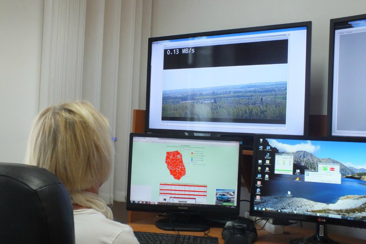 lesnicy_monitoring