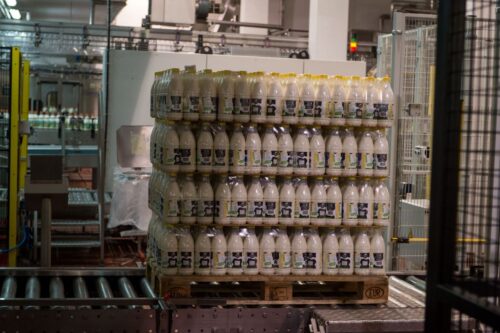 Polskie produkty mleczarskie podbijają kolejne rynki.