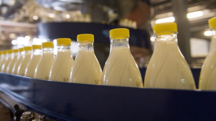 mleko, produkcja mleka, kryzys na rynku mleka, seminarium, Łowicz