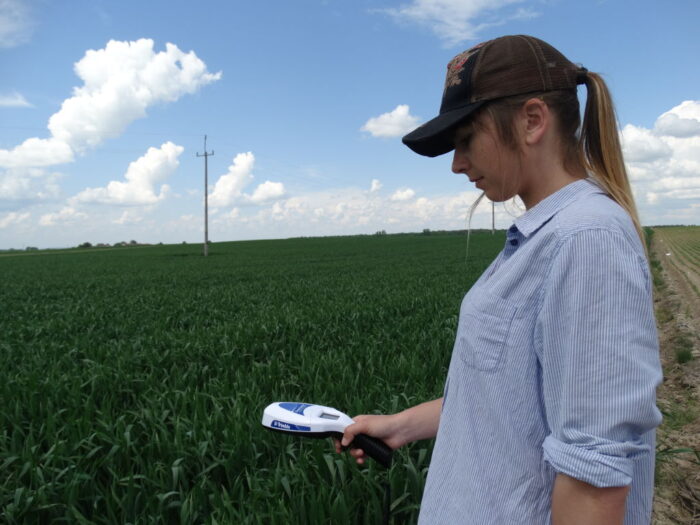 pszenica ozima, wskaźnik NDVI, czujnik Green Seeker