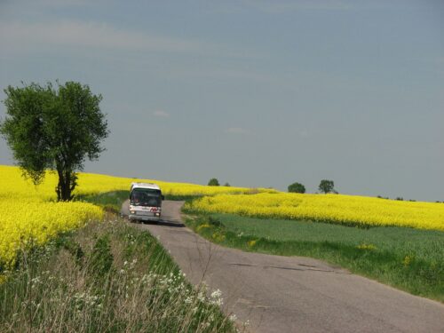 Juliusz Młodecki, Polska Koalicja Biopaliw i Pasz Białkowych, biopaliwa, Adam Stępień
