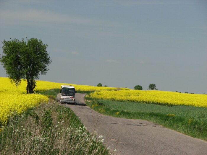 Juliusz Młodecki, Polska Koalicja Biopaliw i Pasz Białkowych, biopaliwa, Adam Stępień