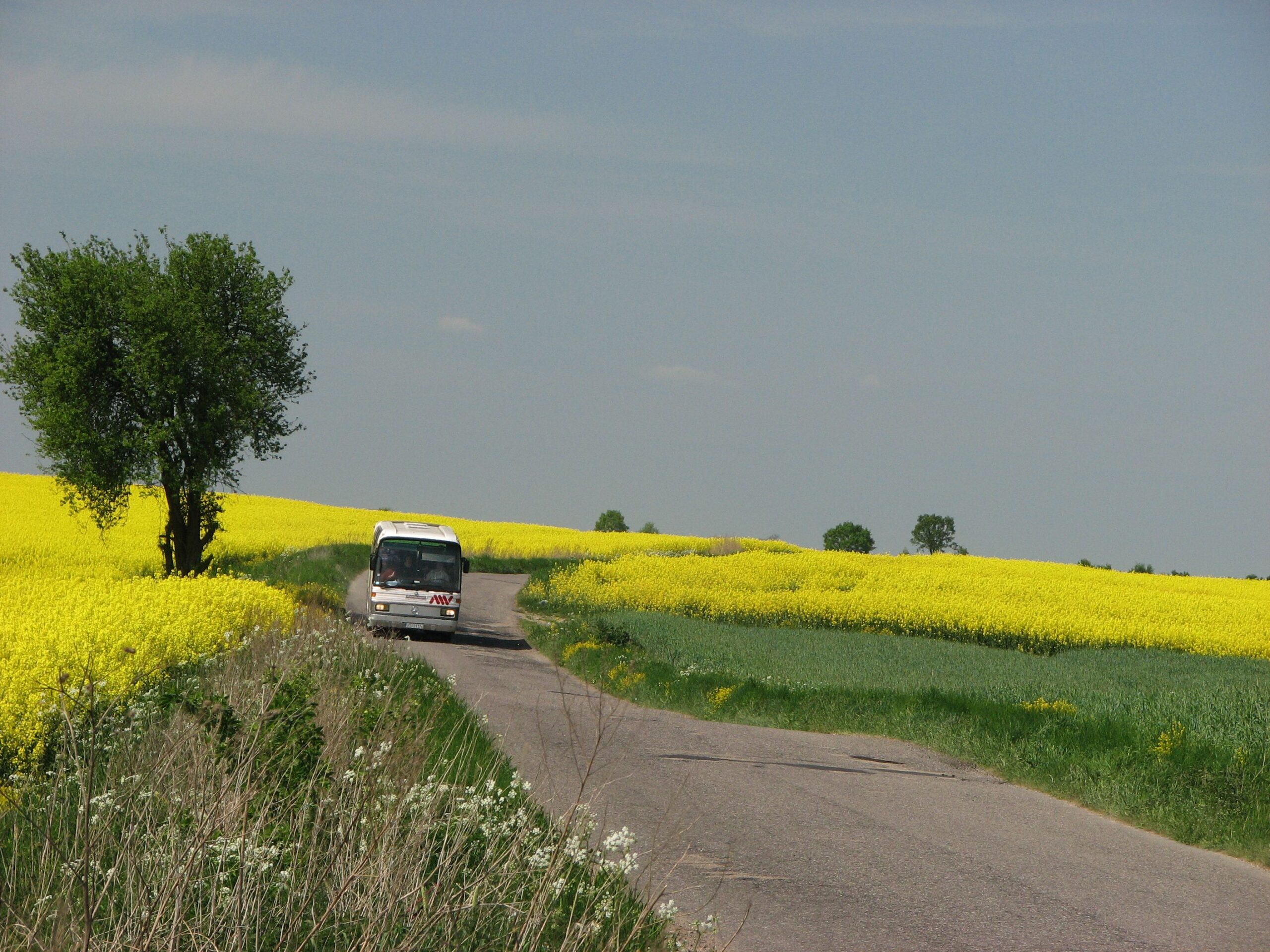 Juliusz Młodecki, Polska Koalicja Biopaliw i Pasz Białkowych, biopaliwa, Adam Stępień