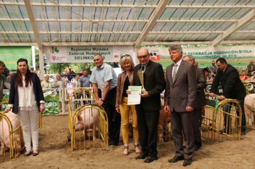 trzoda chlewna wystawa regionalna sielinko