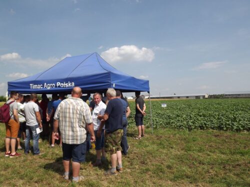 panorama pól timac agro, timac agro, dębno, powiat leżajski, podkarpacie