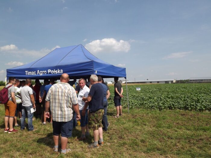panorama pól timac agro, timac agro, dębno, powiat leżajski, podkarpacie