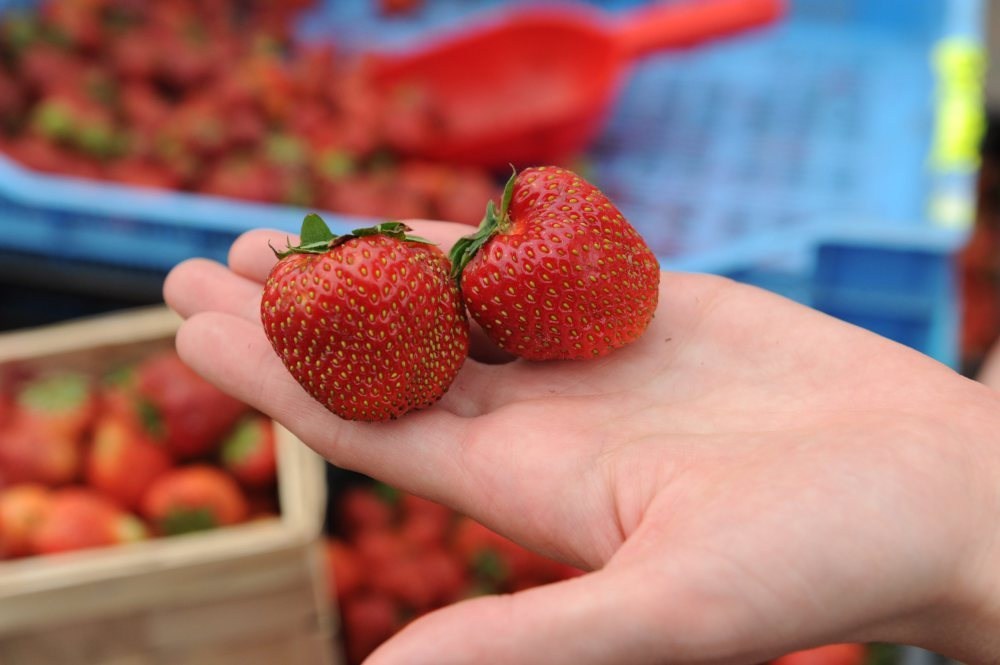 owoce, ceny owoców, przetwory owocowe, Bożena Nosecka, Instytut Ekonomiki Rolnictwa i Gospodarki Żywnościowej