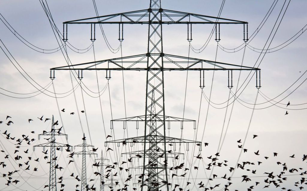 energia elektryczna, bezpieczeństwo dostaw energii, sieć energetyczna