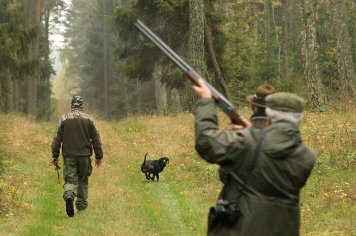 prawo łowieckie, tworzenie obwodów łowieckich, urządzanie polowań