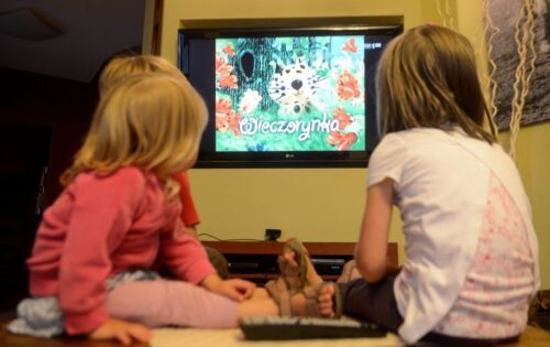 Krajowa Rada Radiofonii i Telewizji, Katarzyna Twardowska, abonament rtv