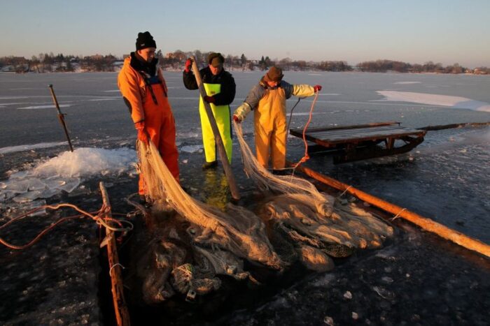 Program Operacyjny Rybactwo i Morze, Lokalne Grupy Rybackie, armatorzy statków