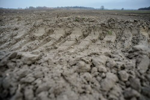 Od 1 maja 2016 roku każdy obywatel UE mógłby kupić polską ziemię bez ograniczeń.