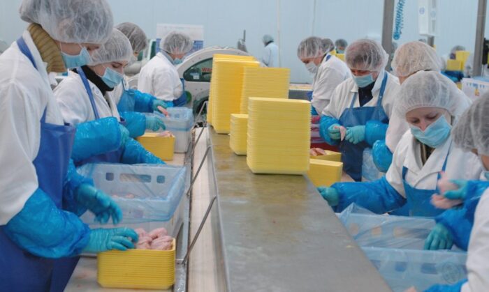 drób, produkcja, Farmio, Krajowa Rada Drobiarstwa - Izba Gospodarcza