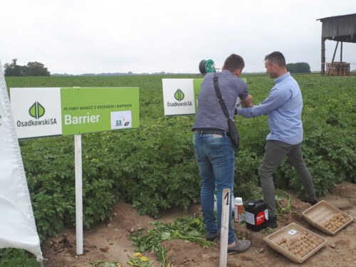 Dzień Ziemniaka RZD Żealzna, rolnicy