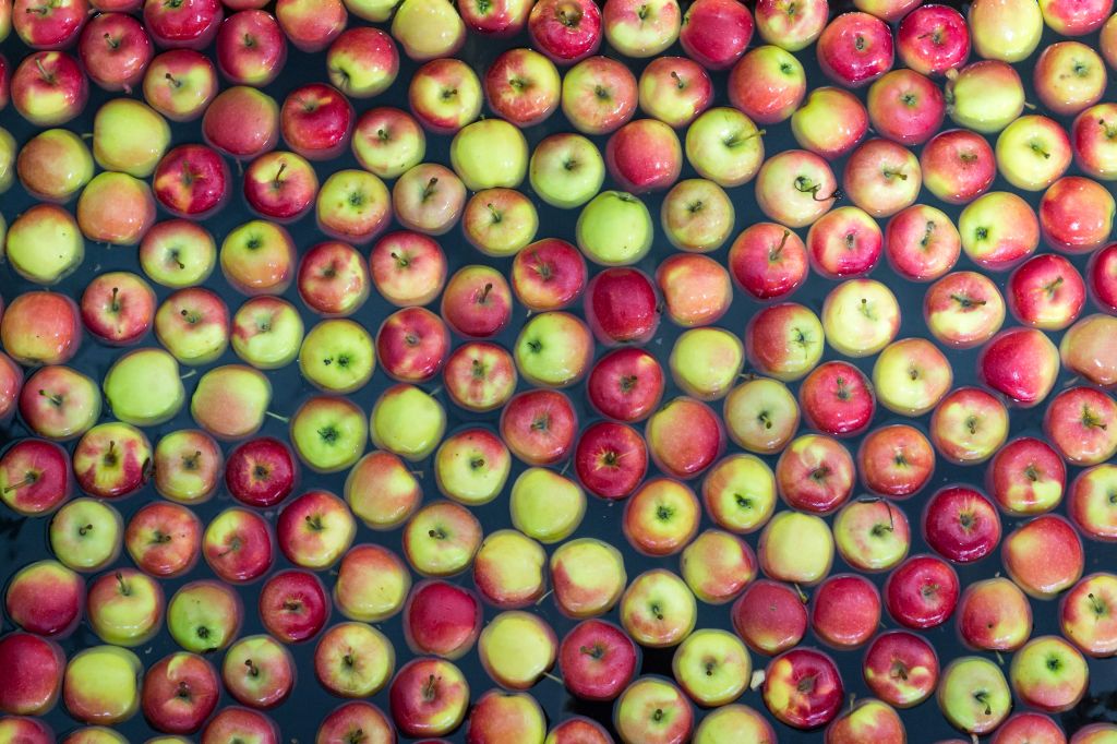 światowe Stowarzyszenie Jabłek i Gruszek, zapasy jabłek, IERiGŻ-PIB