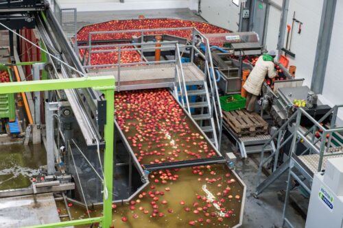 Agencja Restrukturyzacji i Modernizacji Rolnictwa, grupy producenckie, owoce, warzywa