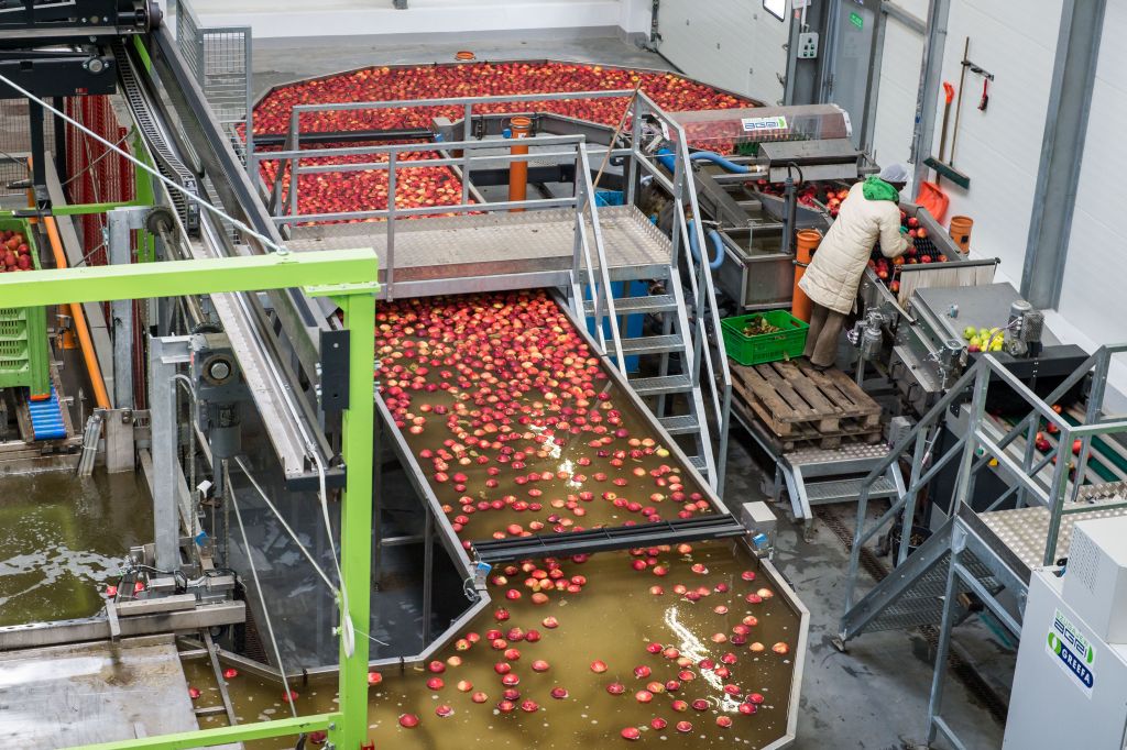 Agencja Restrukturyzacji i Modernizacji Rolnictwa, grupy producenckie, owoce, warzywa
