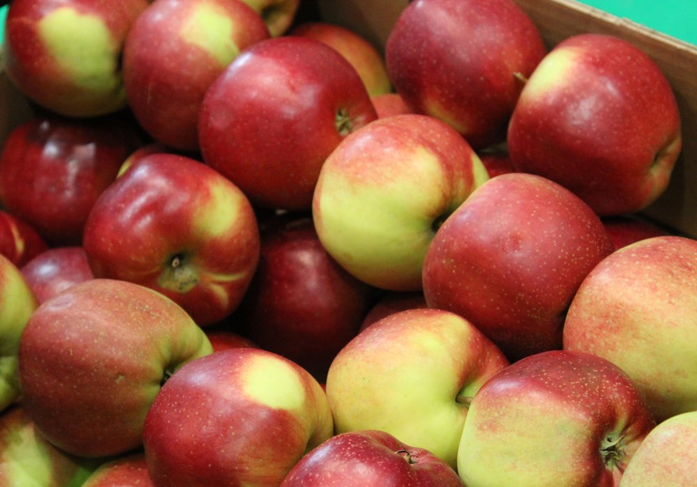 opłata cukrowa, podatek na napoje słodzone, andrzej duda