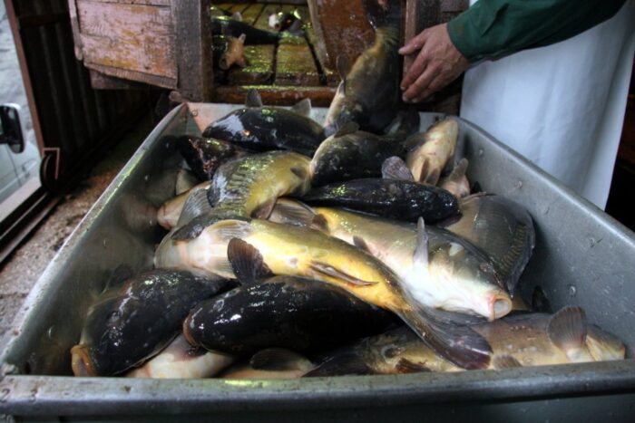 hodowla ryb, susza, pieniądze, de minimis