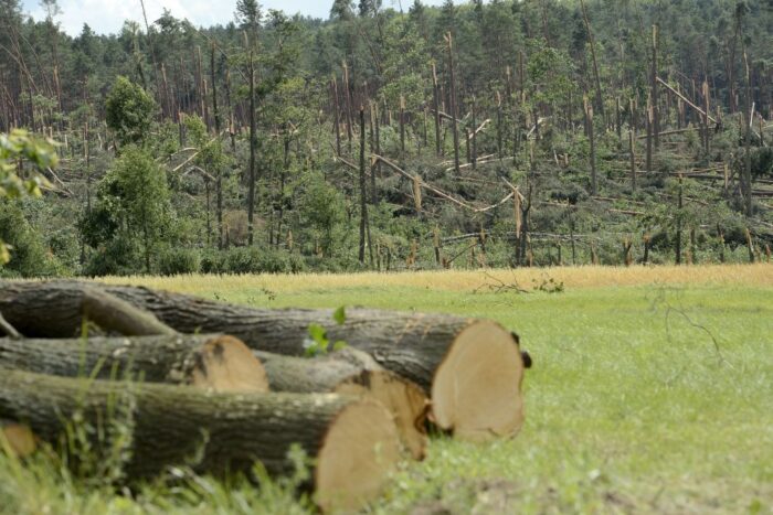 arimr, zalesianie, wnioski o pomoc