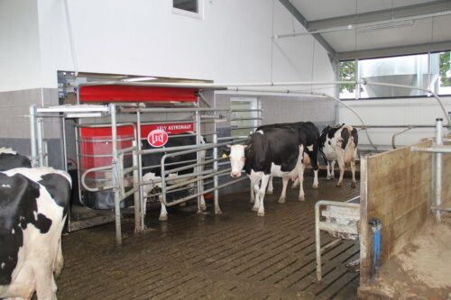 Robot udojowy Lely Astronaut