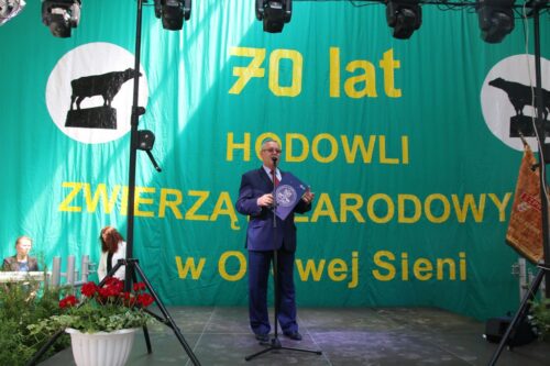 Osowa Sień bydło