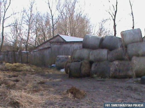 pożar gospodarstwa, świętokrzyskie, Kolonia Grzybów, straż pożarna, gowin, pomorze