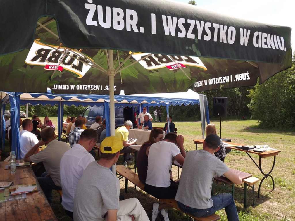 rzepakowe_pola