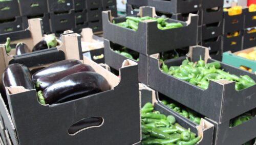 biologiczne środki ochrony roślin, matryca VAT, BioForum, stymulatory wzrostu