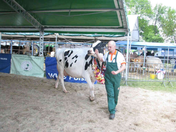 wystawa_superchampion