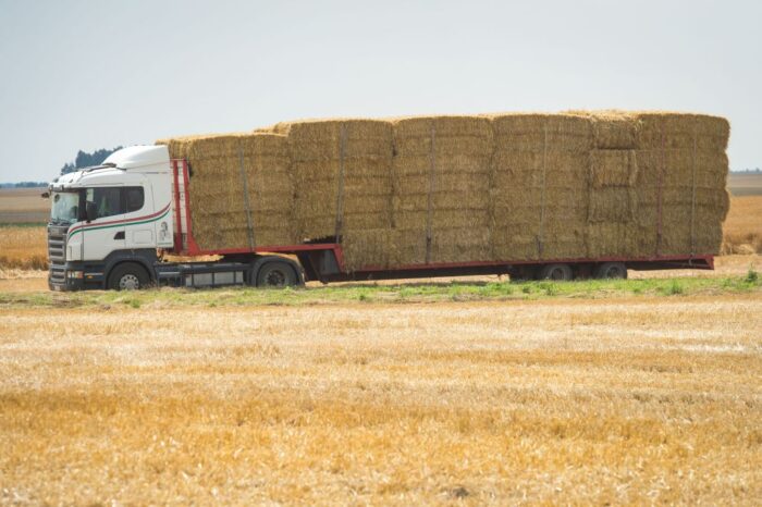 opolszczyzna, mniejszość niemiecka, Romuald Jończy