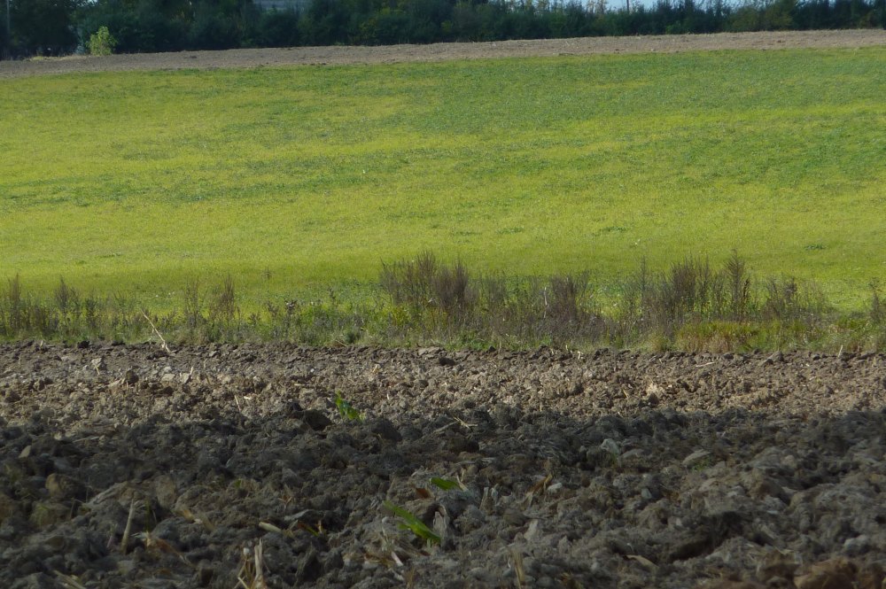 ziemia rolna, dzierżawa gruntów, kształtowanie ustroju rolnego