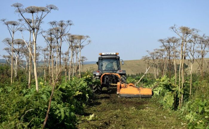 barszcz sosnowskiego, Narodow Fundusz Ochrony Środowiska i Gospodarki Wodnej