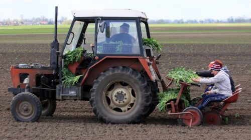dopłaty do paliwa, podkarpacie, Małgorzata Oczoś-Błądzińska