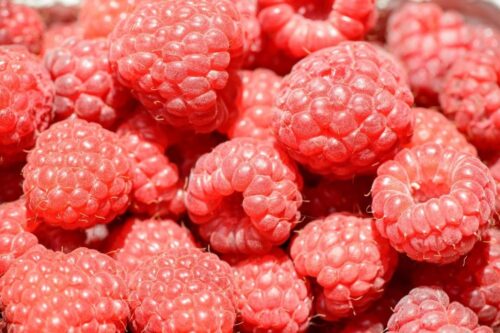 wytłoki z malin, maliny, Bartosz Fotschki