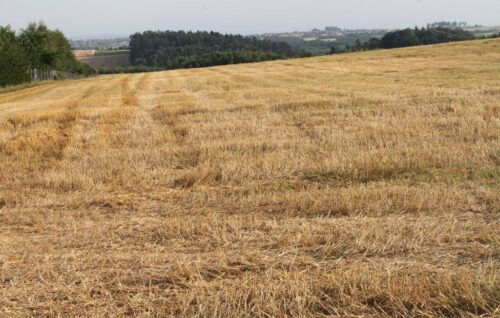 susza rolna, sejmowa komisja rolnictwa, stan kleski żywiołowej