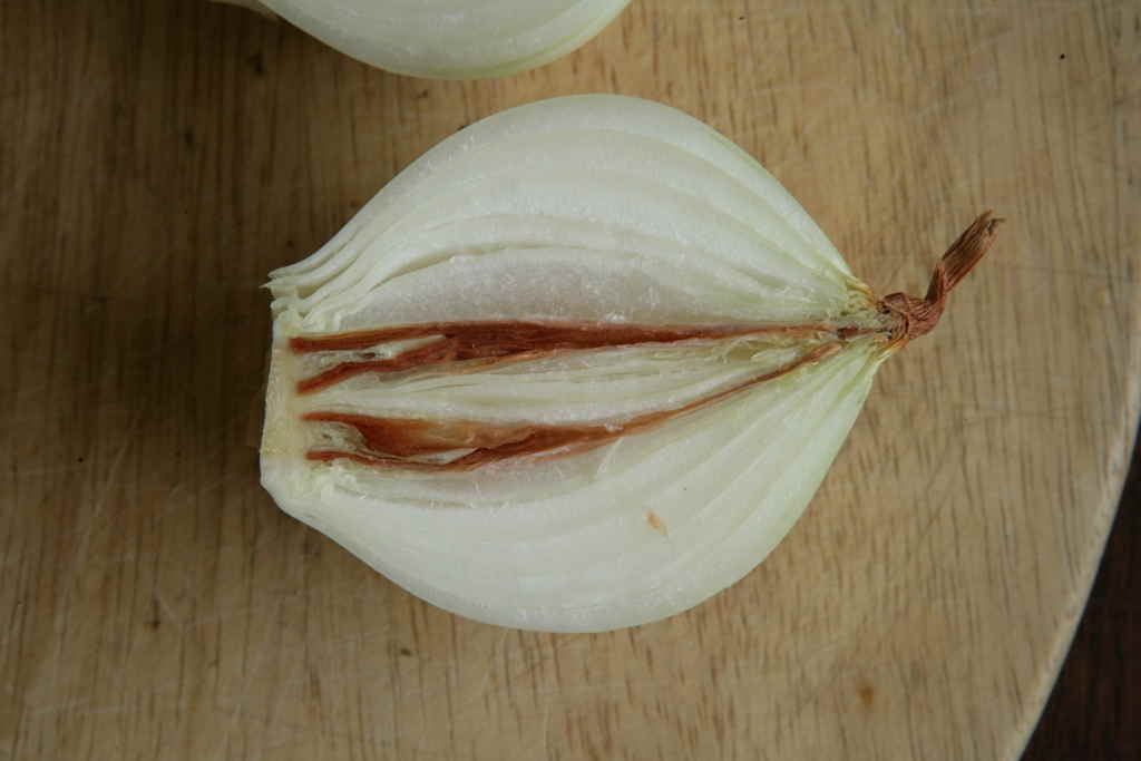 cebula_przechowanie_choroby