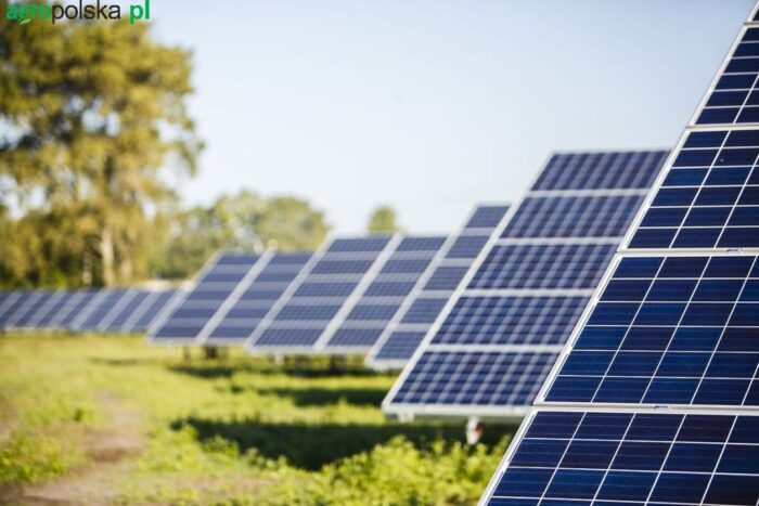 Mieczysław Koch, Stowarzyszenia Energii Odnawialnej, zielona energia