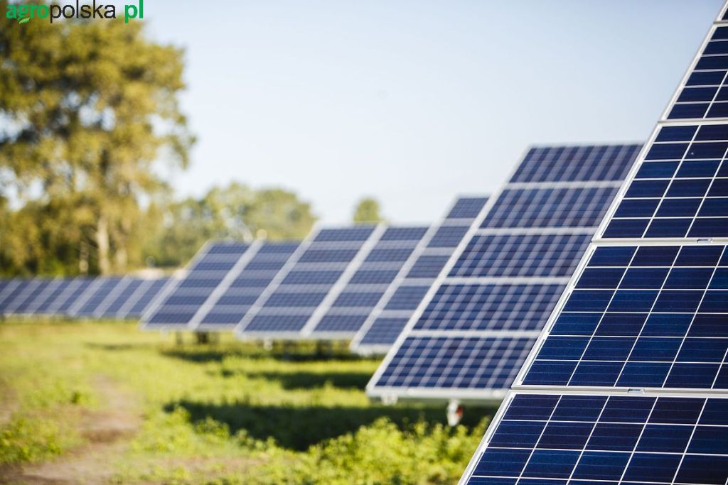 Mieczysław Koch, Stowarzyszenia Energii Odnawialnej, zielona energia